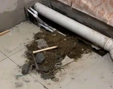 崇明卫生间漏水检测哪家好
